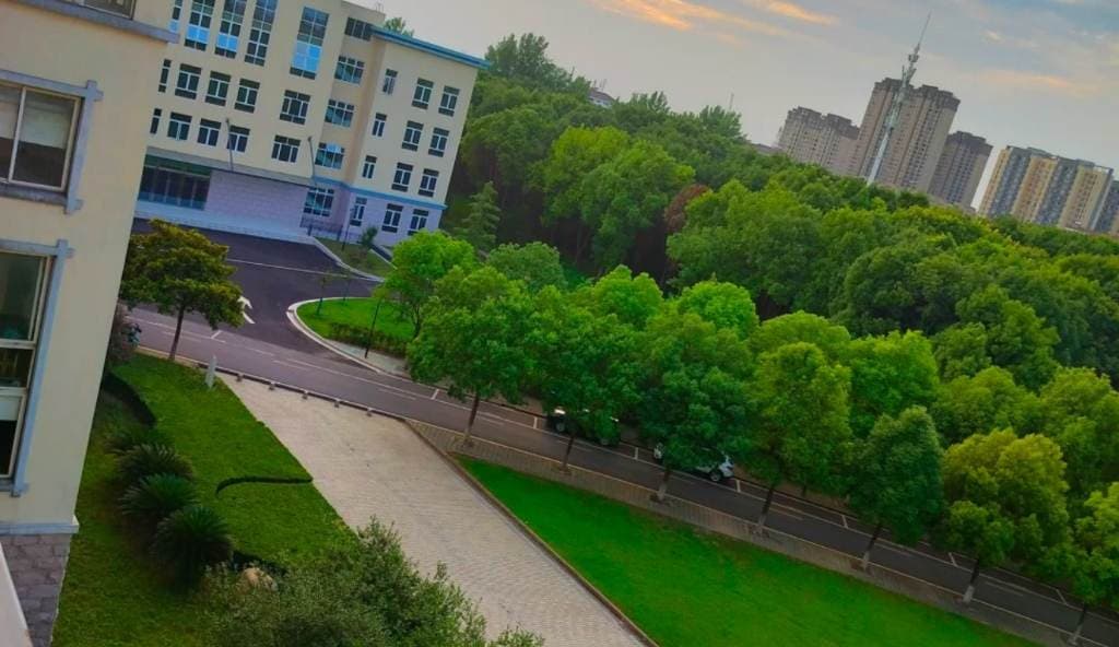 Хубэйское высшее специальное училище «Чжунияо», фото 4