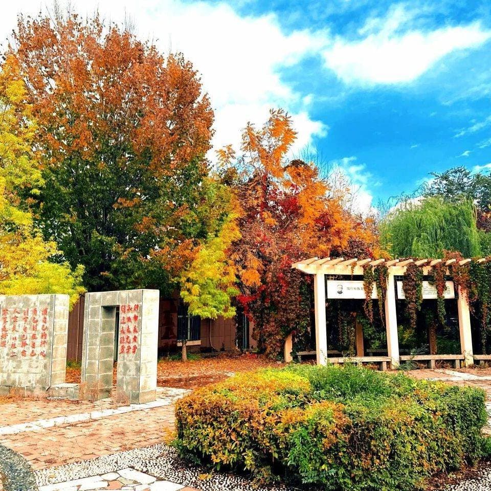 Урумчийский профессионально-технический колледж, фото 3
