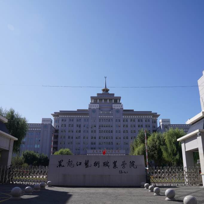 Хэйлунцзянский художественный профессиональный колледж, фото 3