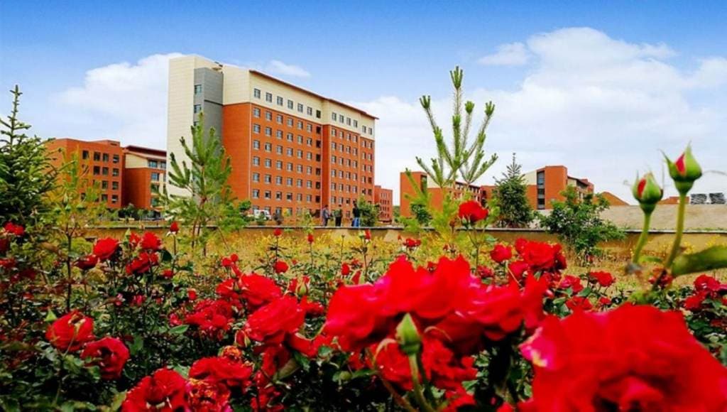 Ганьсуский медицинский профессиональный колледж, фото 4