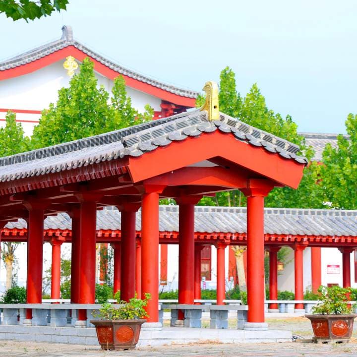Чжэнчжоуский спортивный профессиональный колледж, фото 4