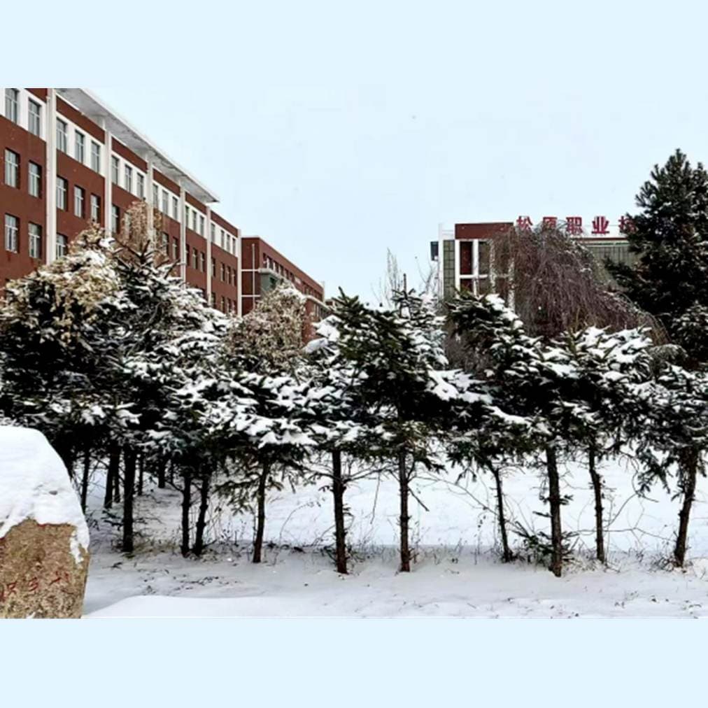 Сунюаньский профессионально-технический колледж, фото 3