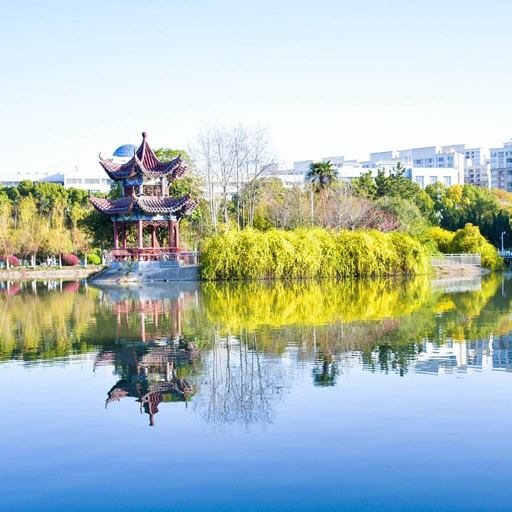 Сяньтаоский профессиональный колледж, фото 4