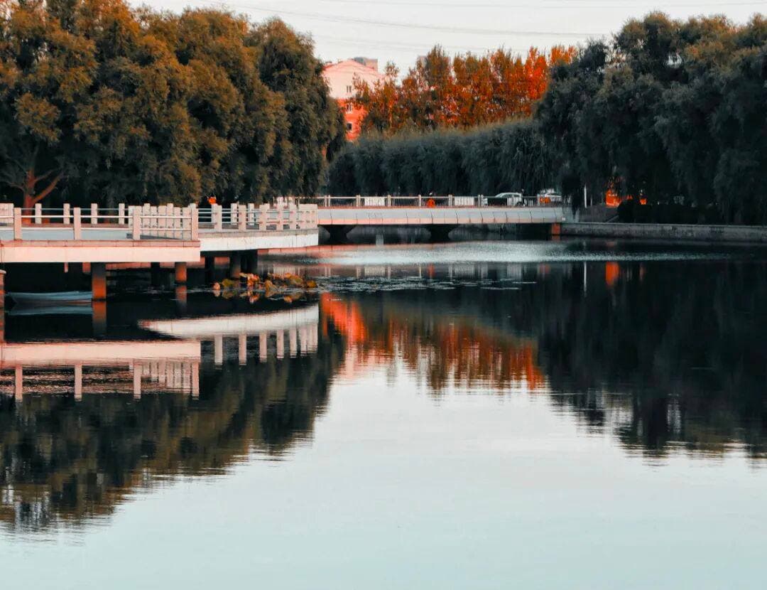 Чанчуньский профессионально-технический университет, фото 4