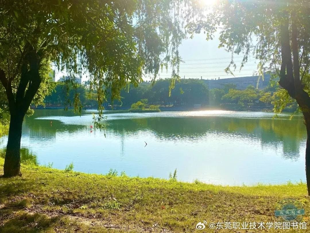 Дунгуаньский профессионально-технический колледж, фото 3