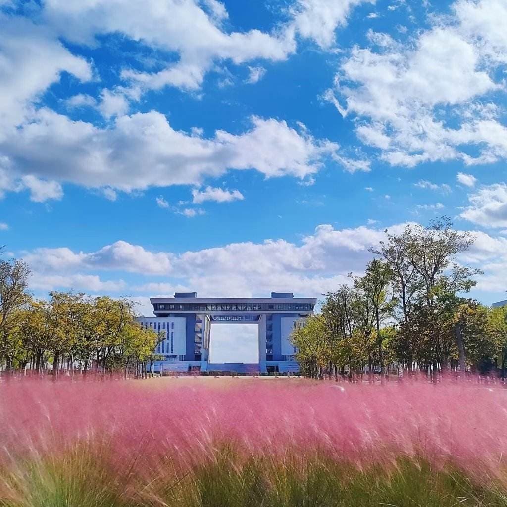 Шаньдунский химико-технологический профессиональный колледж, фото 3