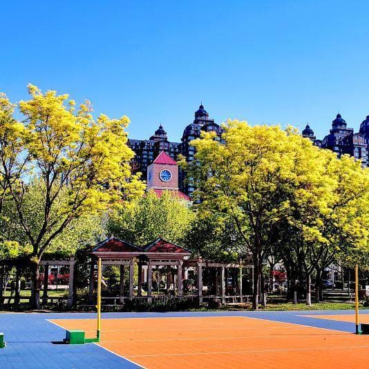 Шицзячжуанский торгово-промышленный профессиональный колледж, фото 3