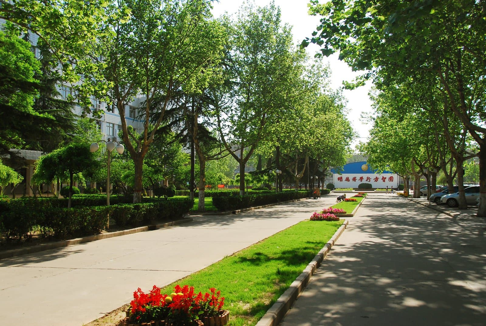 Хэбэйский медицинский университет, фото 3