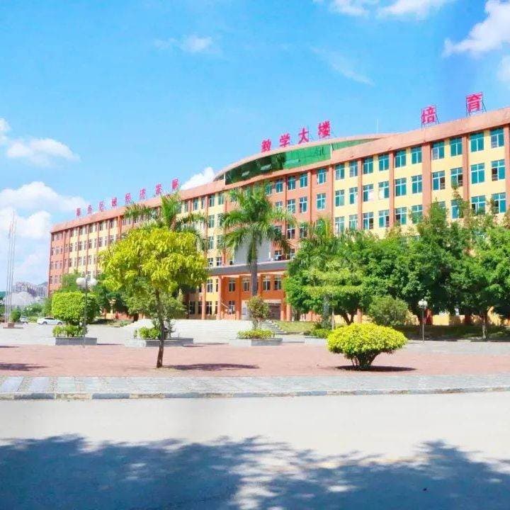 Гуансийский инженерный профессиональный колледж, фото 4