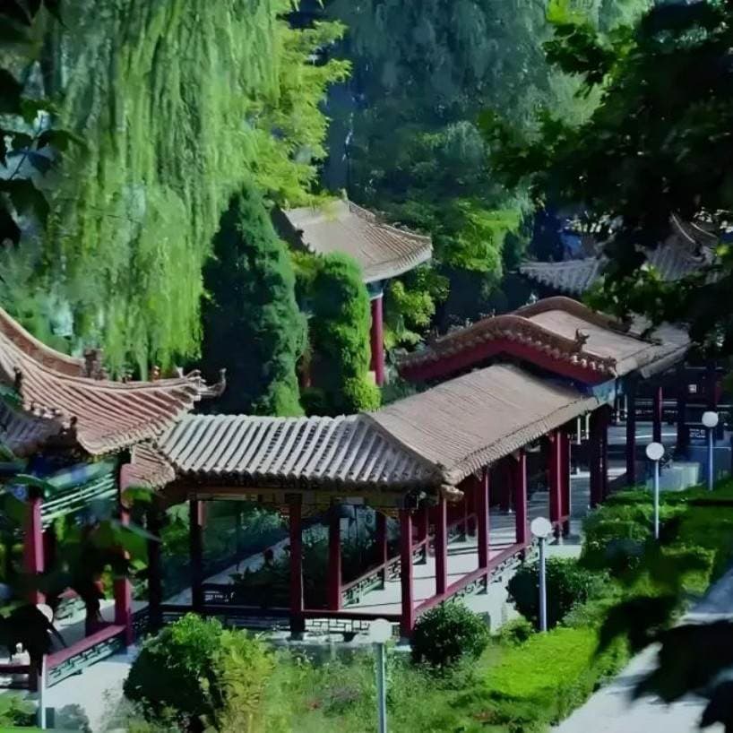 Шаньсийский финансовый профессиональный колледж, фото 3