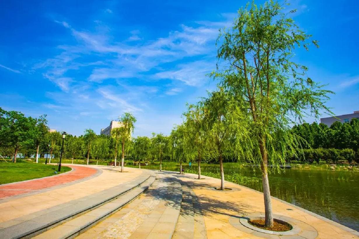 Хэнаньский профессионально-технический колледж, фото 3