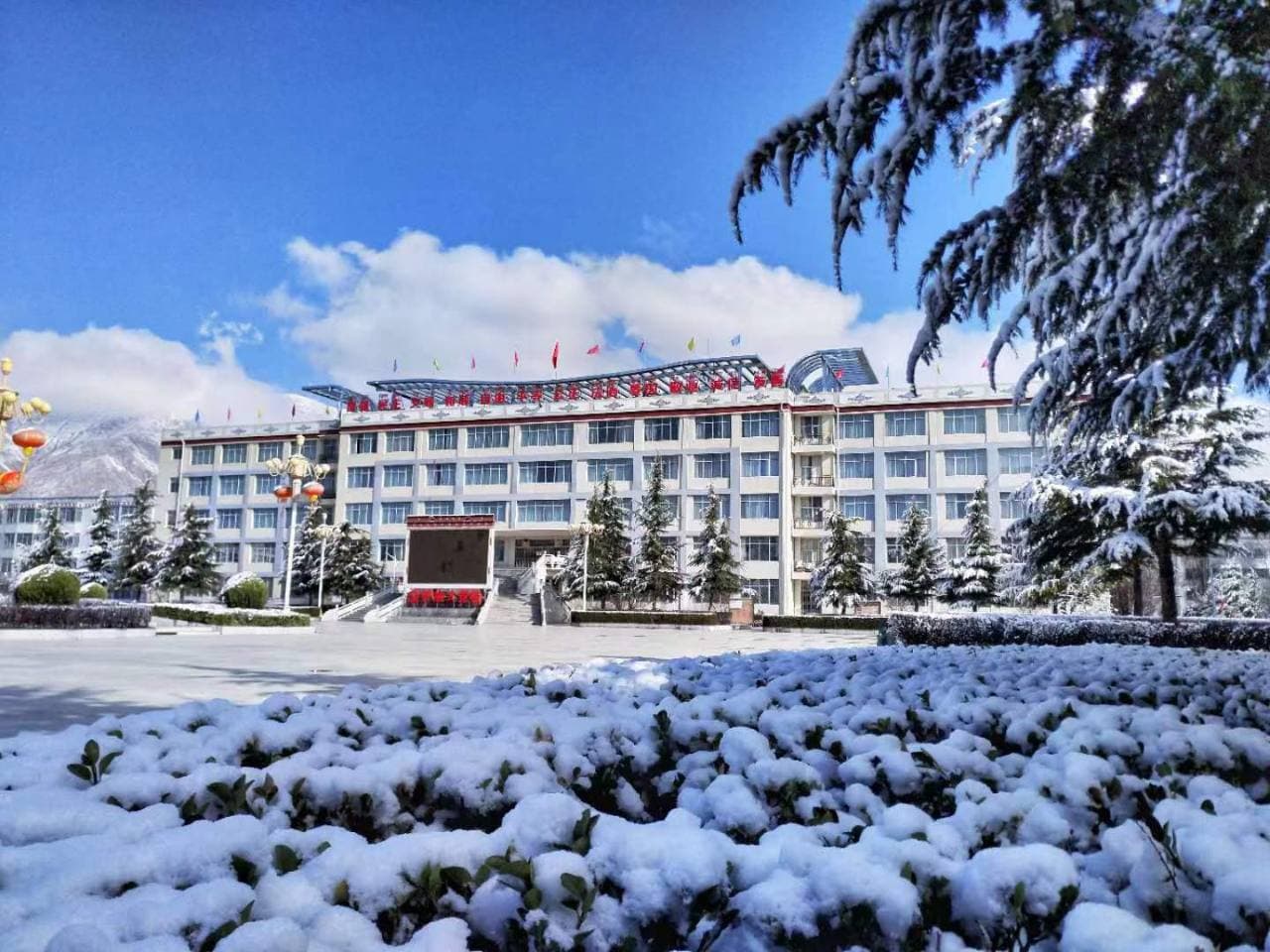Тибетский профессионально-технический колледж, фото 4