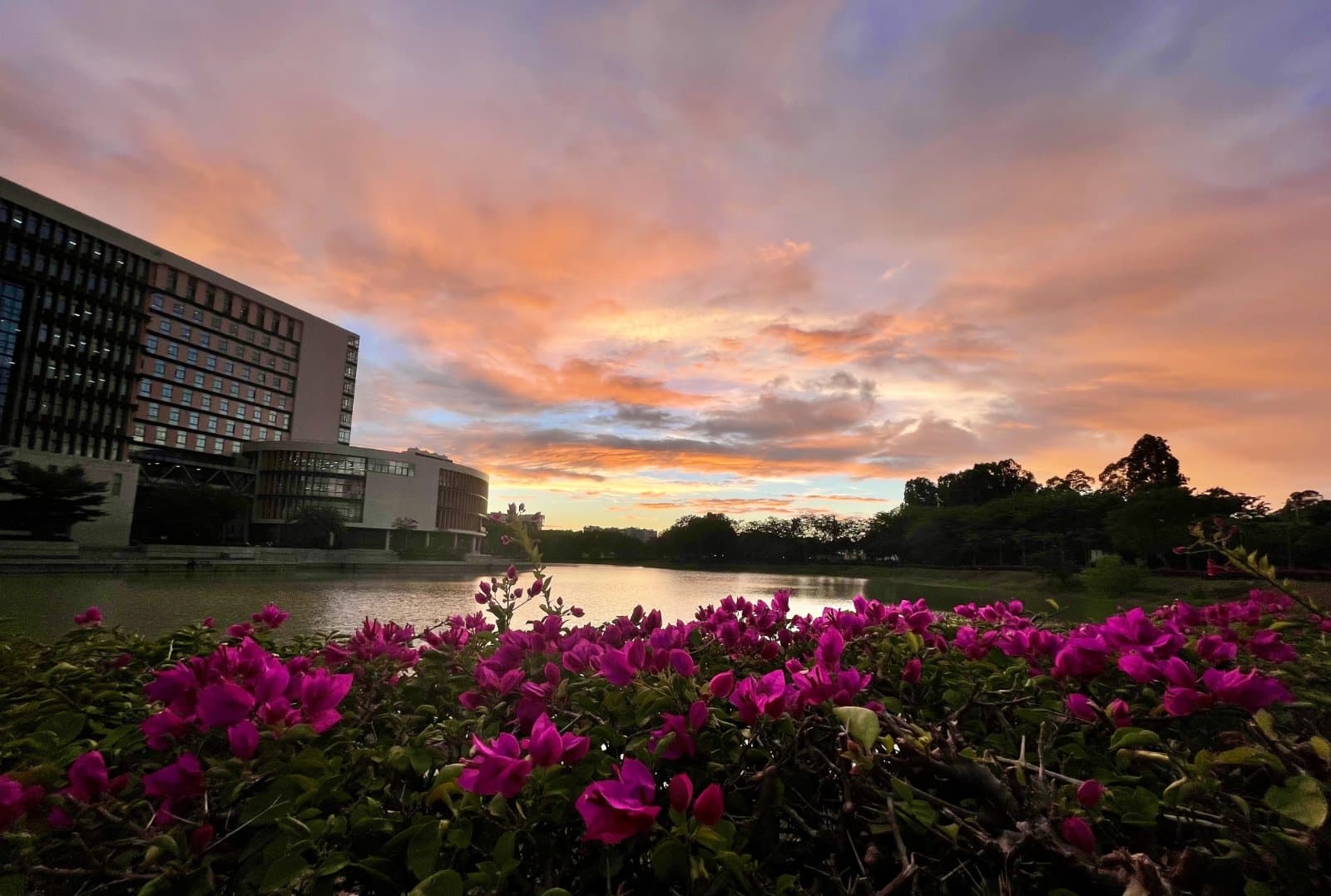 Хайнаньский институт «Жэдайхайян», фото 4