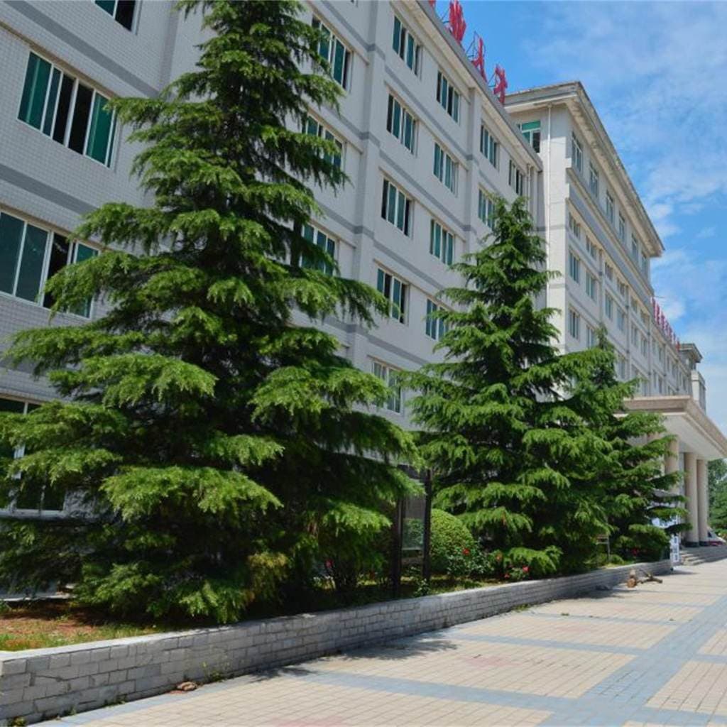 Шэньсийский художественный профессиональный колледж, фото 3