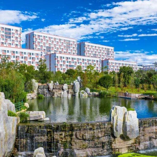 Юньнаньский научно-инженерный профессиональный колледж, фото 3