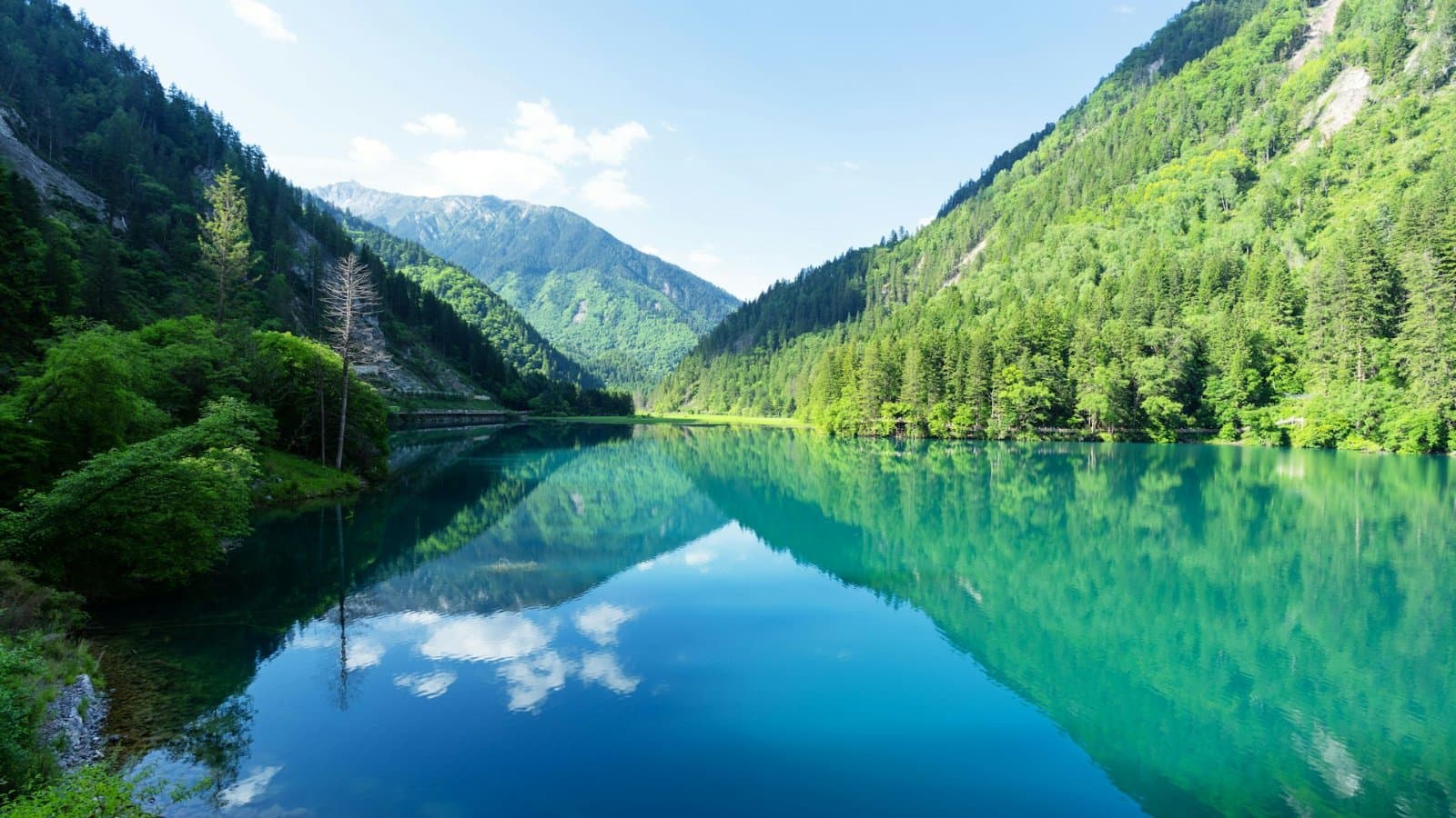 Профессиональный колледж «Аба», фото 1