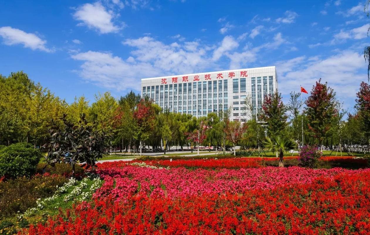 Шэньянский профессионально-технический колледж, фото 4