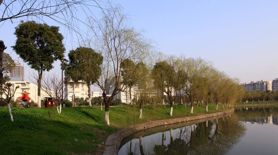 Нинбоский профессионально-технический университет, фото 4