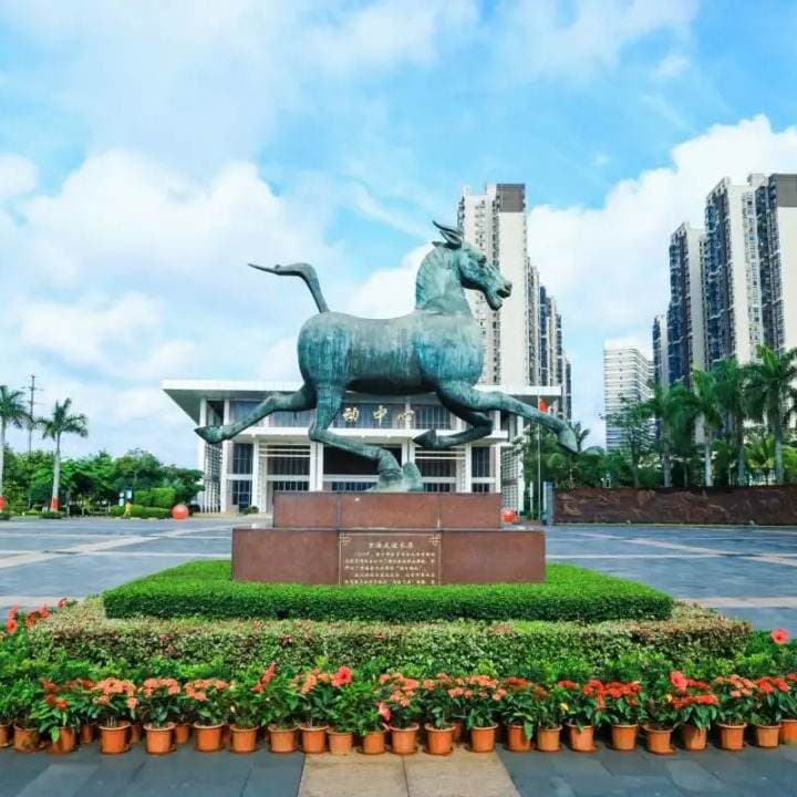 Хайкоуский туристический профессиональный колледж, фото 4