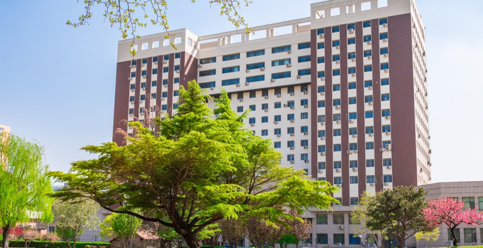 Кампус Университет международного бизнеса и экономики