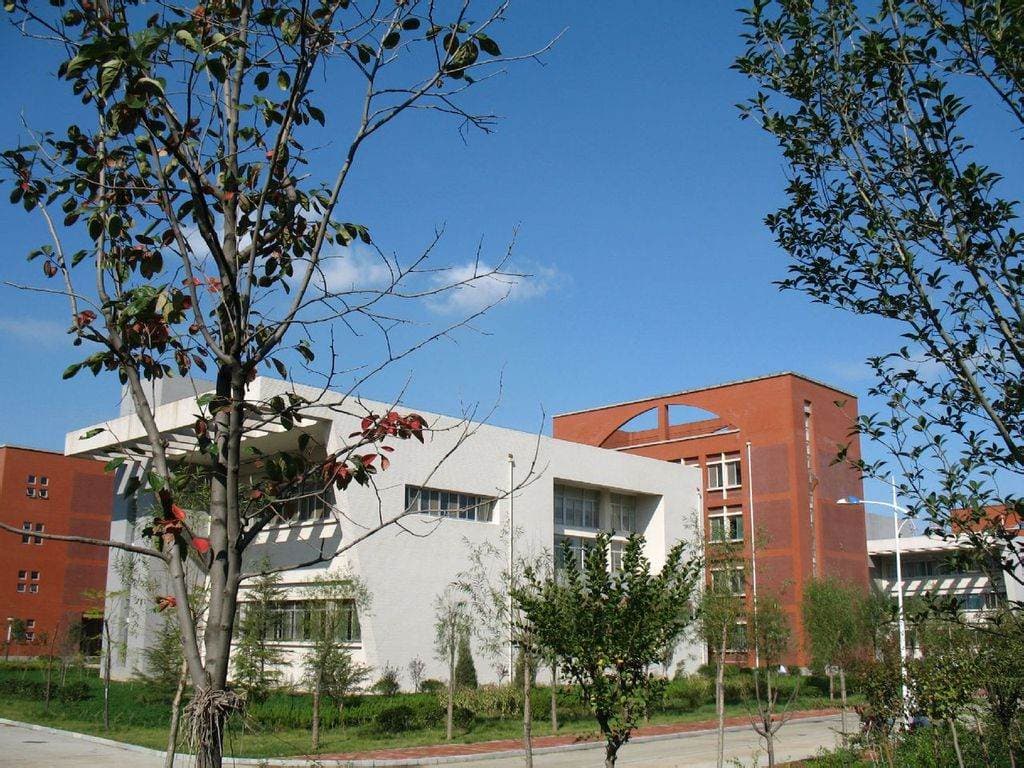 Шаньдунский медийный профессиональный колледж, фото 3