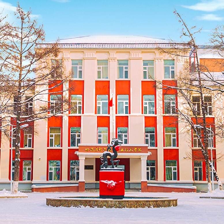 Харбинский профессионально-технический колледж «Бэйфанханкун», фото 3