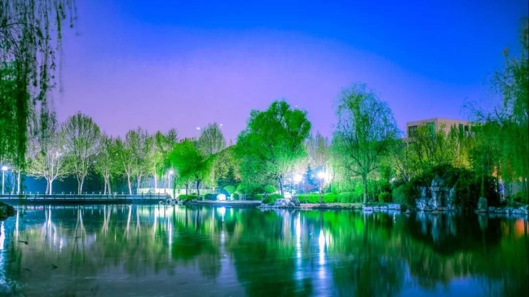Шаньдунский индустриальный профессиональный колледж, фото 4