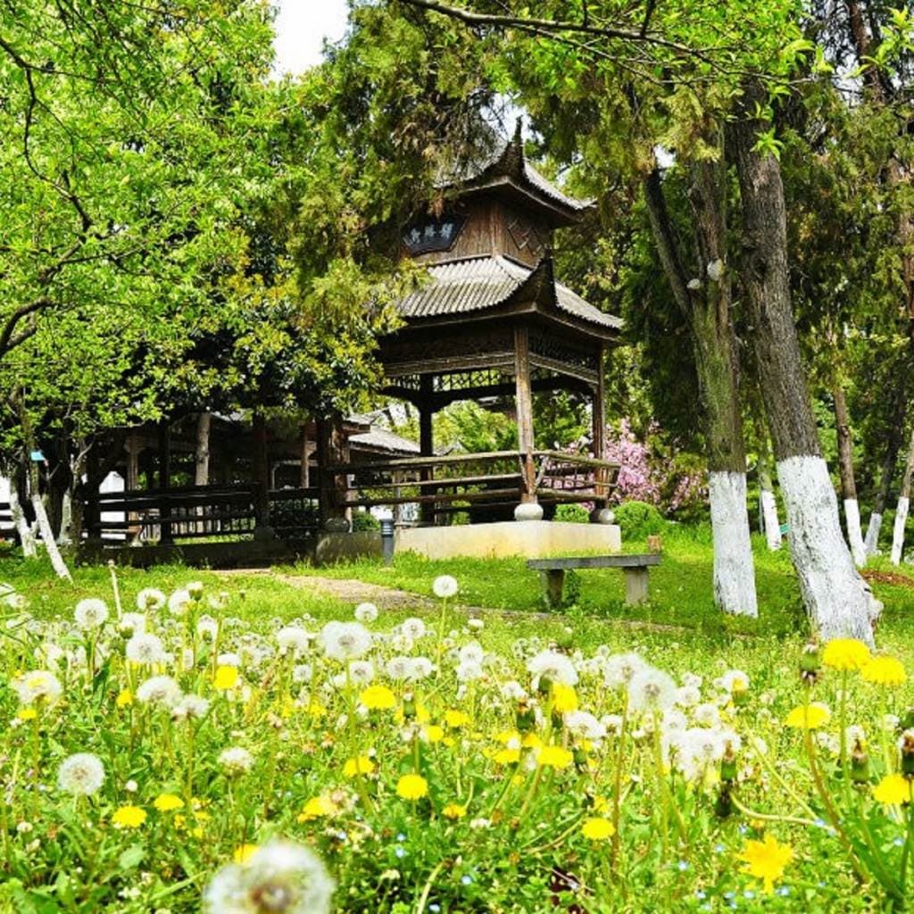 Аньхойский лесной профессионально-технический колледж, фото 4