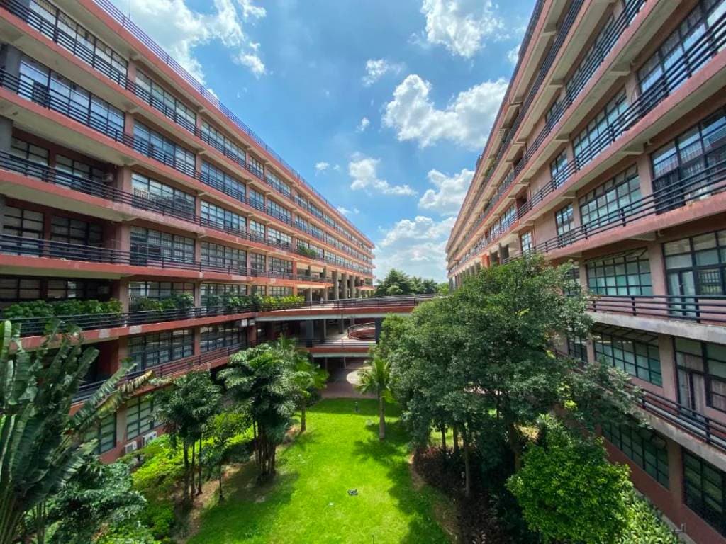 Гуанчжоуская академия изобразительных искусств, фото 3