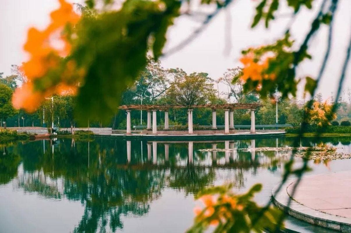 Гуансийский транспортный профессионально-технический колледж, фото 3