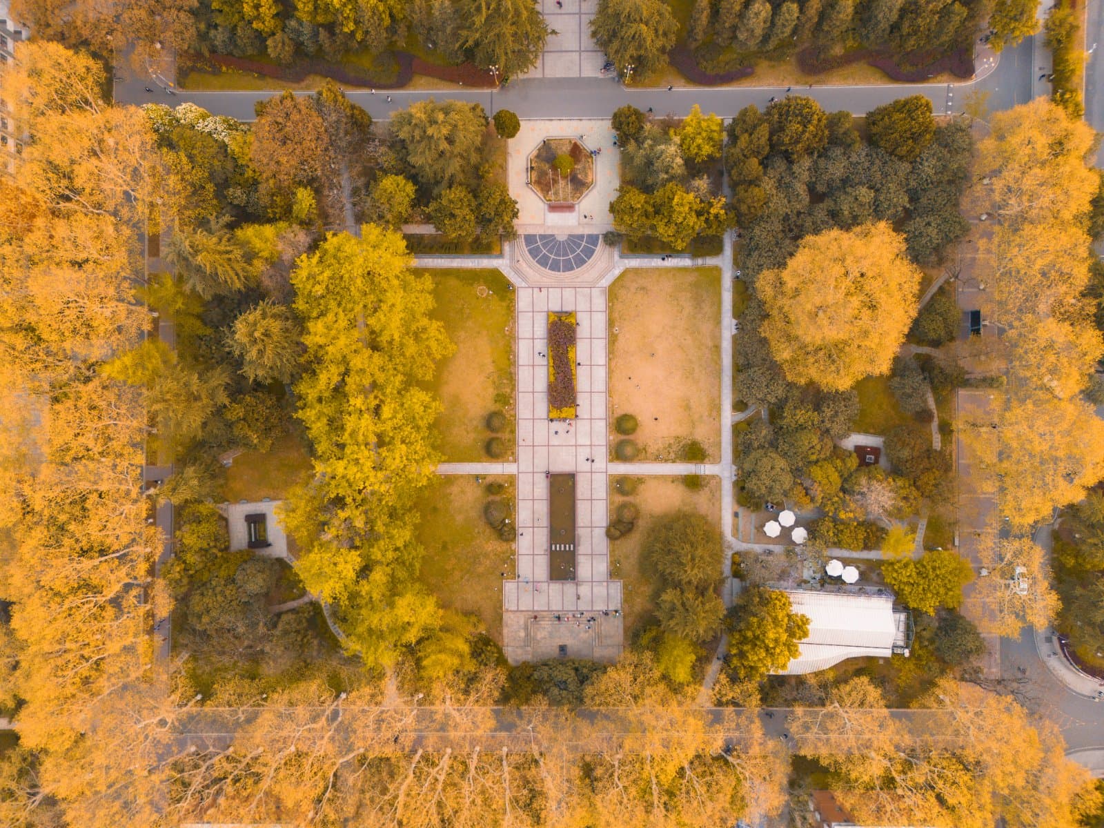 Университет науки и технологий Китая, фото 4