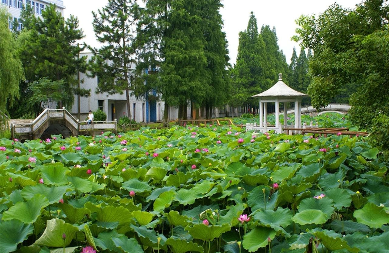 Хуанганский профессионально-технический университет, фото 2