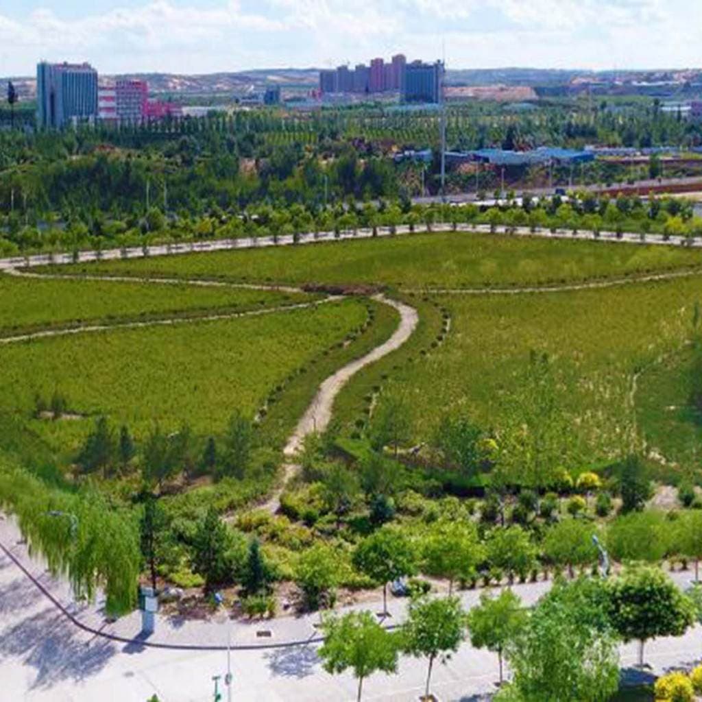 Юйлиньский профессионально-технический колледж, фото 4