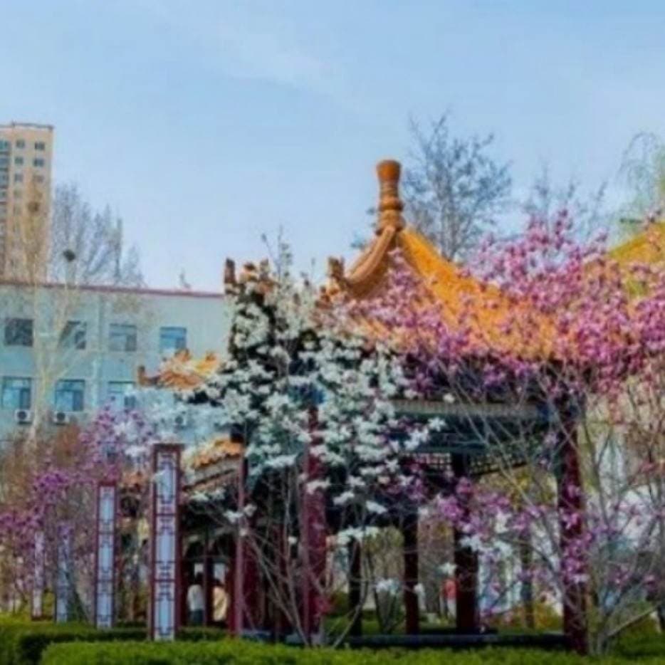 Шаньсийский финансовый профессиональный колледж, фото 4