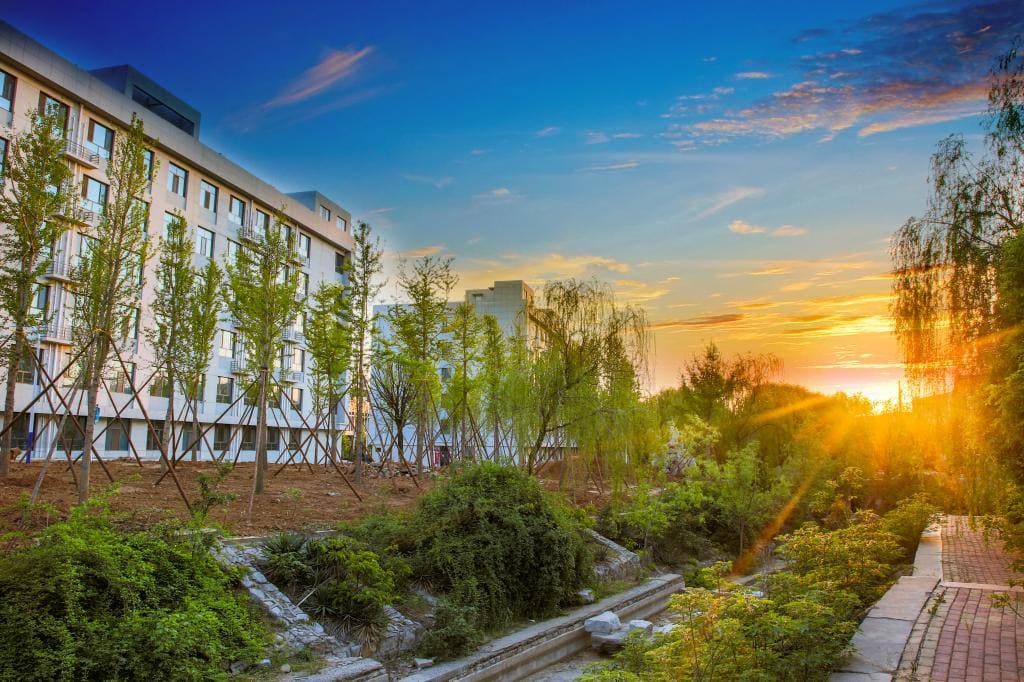 Шаньдунский инженерный профессионально-технический университет, фото 3