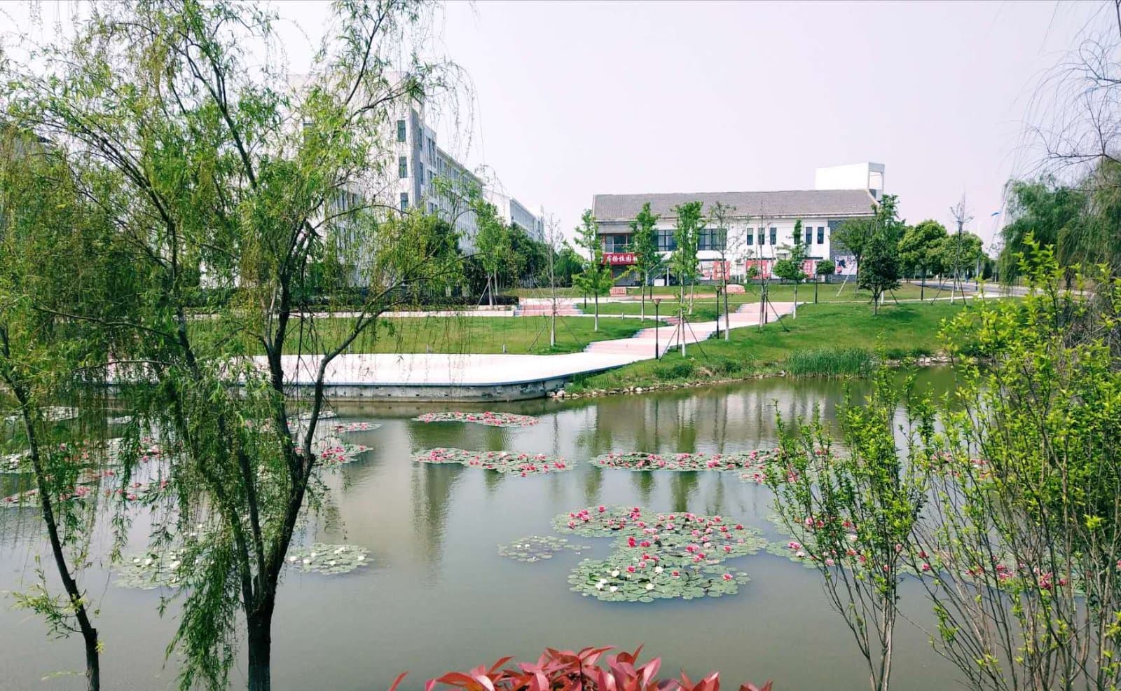 Хэфэйский городской институт, фото 3