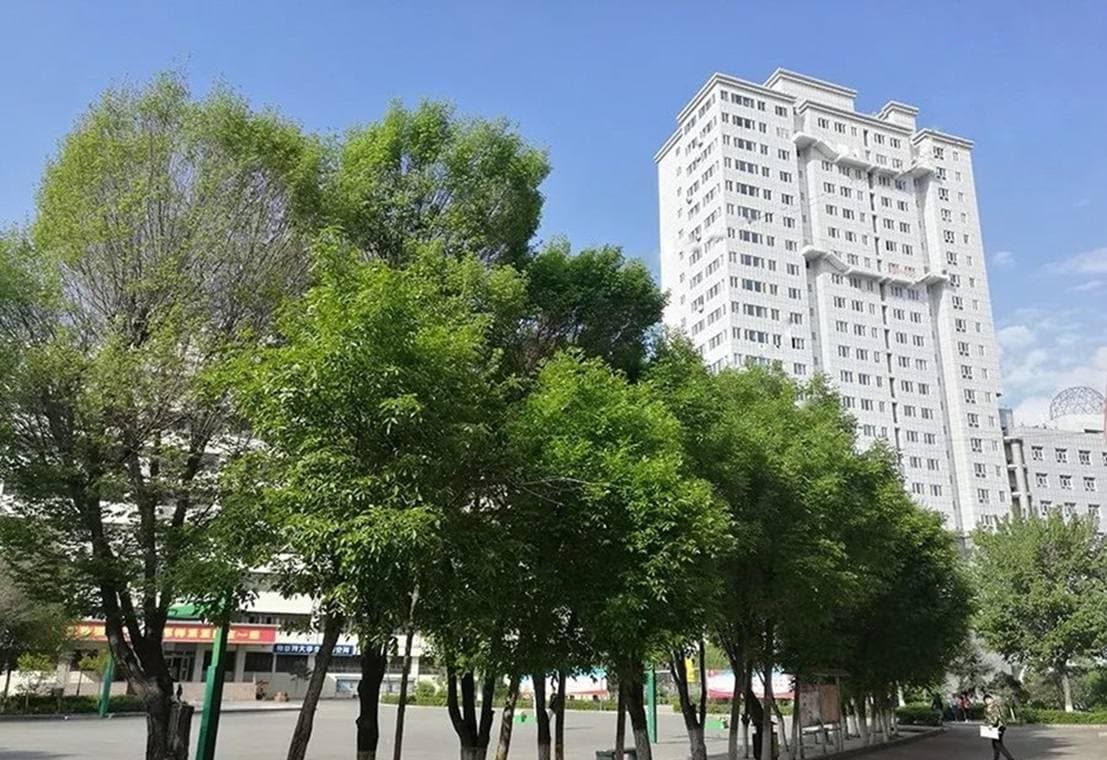 Кампус Урумчийский профессиональный университет