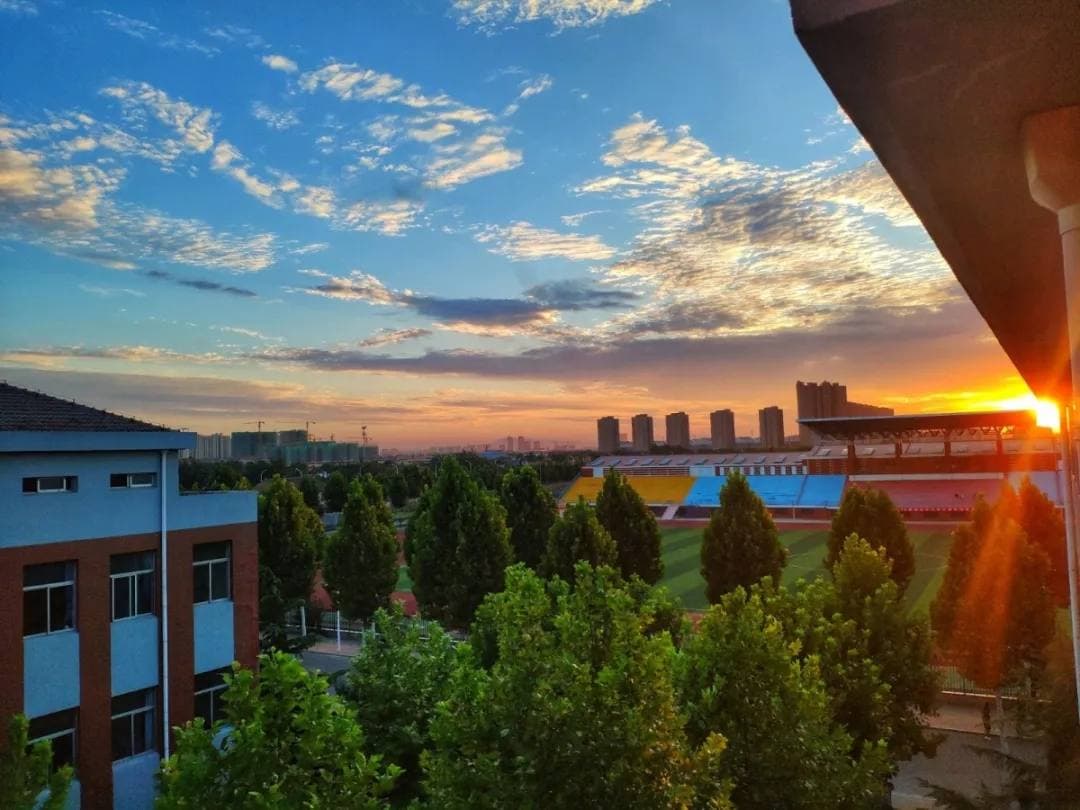 Шаньдунский индустриальный профессиональный колледж, фото 3