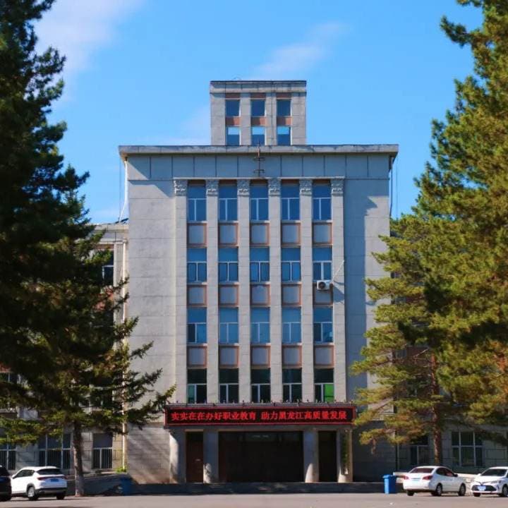 Цицихаэрский научно-инженерный профессиональный колледж, фото 3