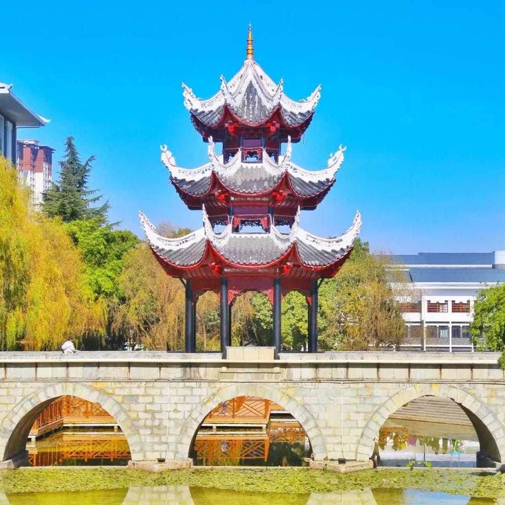Гуйчжоуский спортивный профессиональный колледж, фото 4