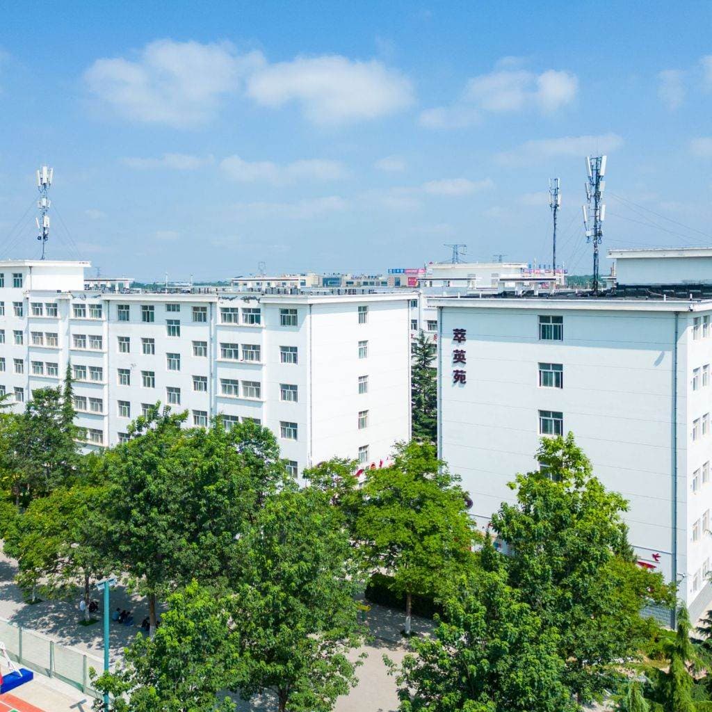 Цинянский профессионально-технический колледж, фото 2