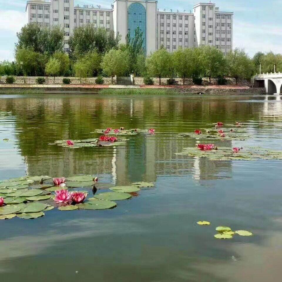 Профессиональный колледж «Кээрциньишу», фото 4