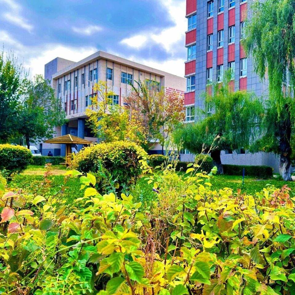 Урумчийский профессионально-технический колледж, фото 4