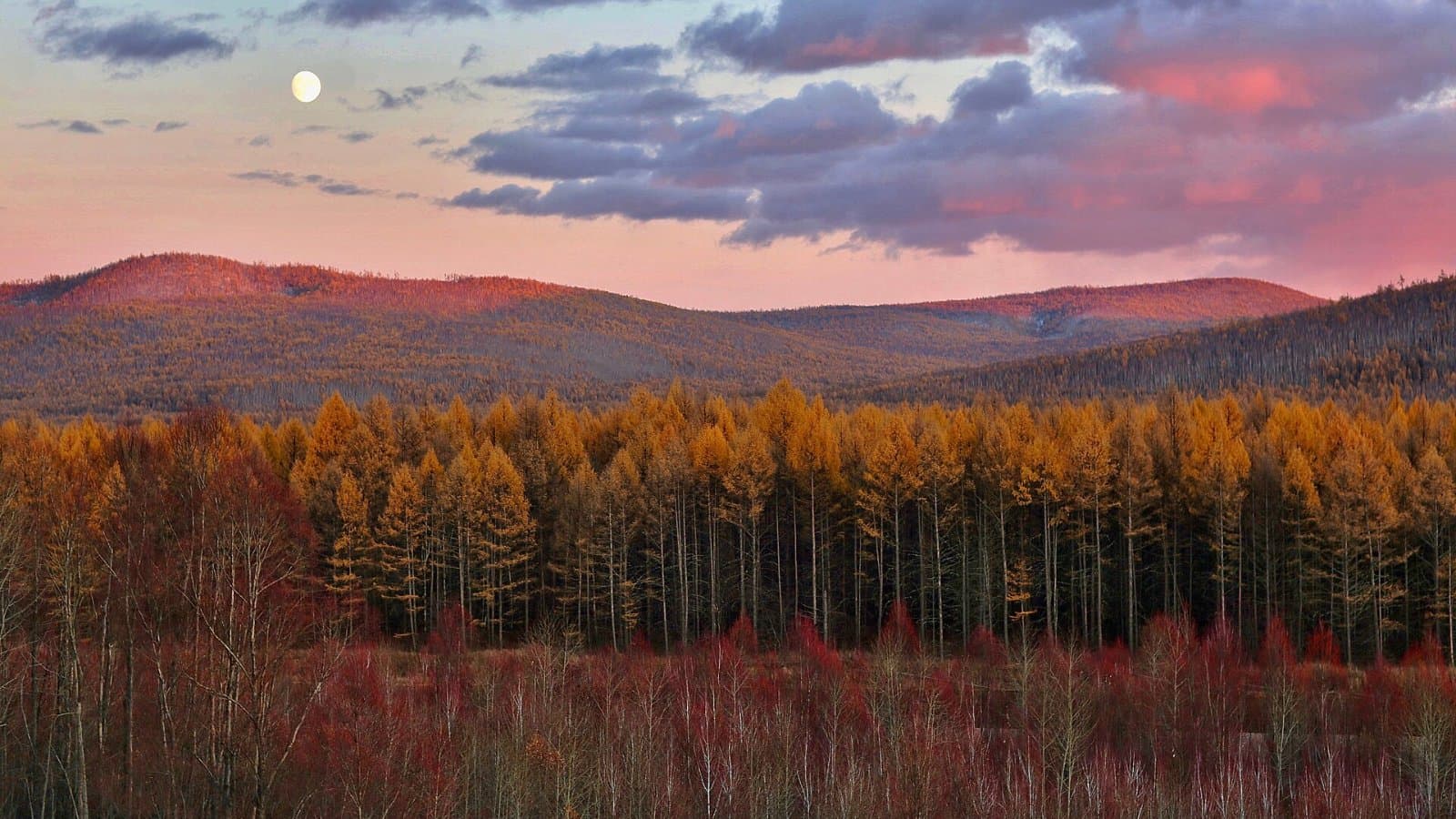 Профессиональный колледж Большой Хинган, фото 1