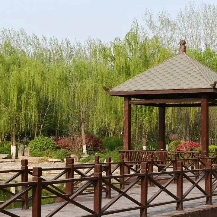 Кайфэнский культурно-художественный профессиональный колледж, фото 4