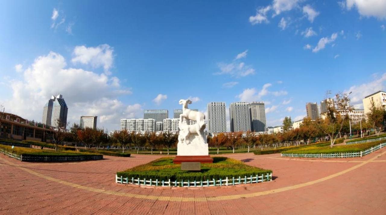 Шаньдунский профессиональный колледж «Сюймушоуи», фото 4
