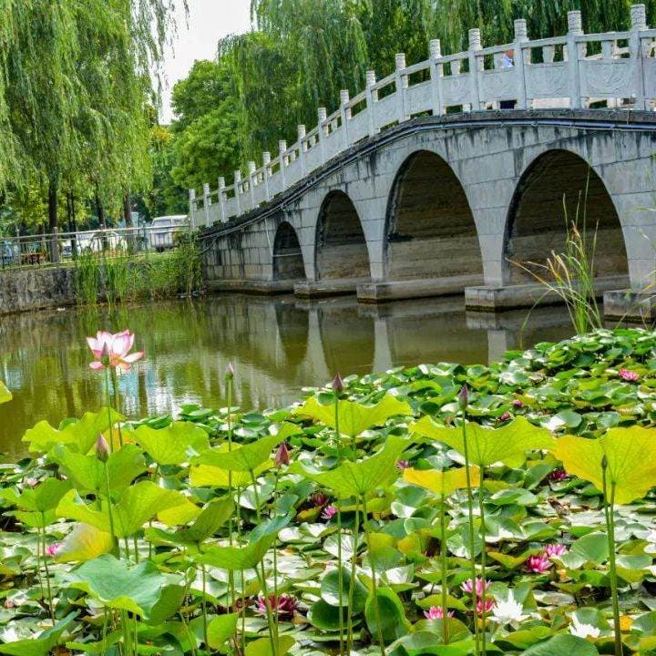 Сяньтаоский профессиональный колледж, фото 2