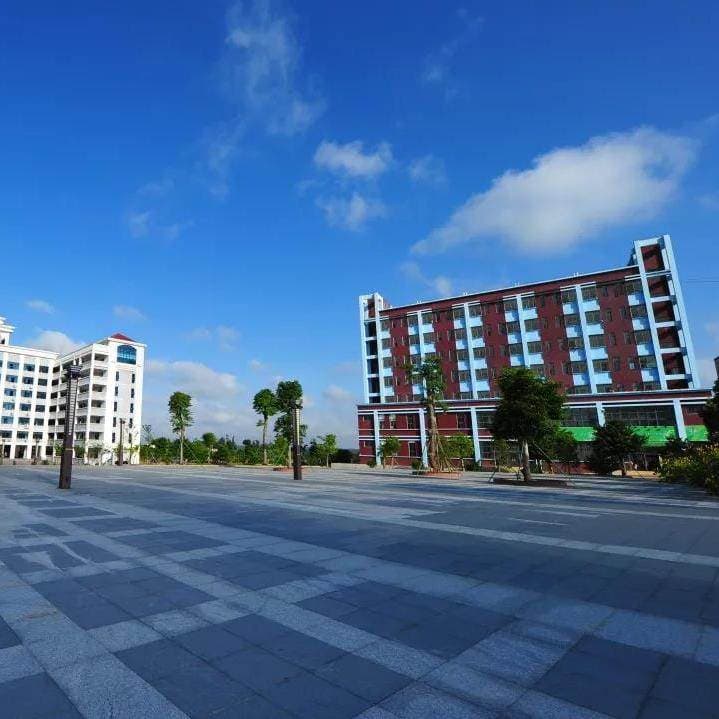 Хайнаньский профессиональный колледж иностранных языков, фото 3