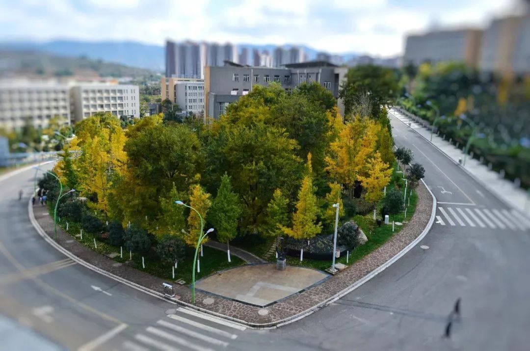Юньнаньский транспортный профессионально-технический университет, фото 3