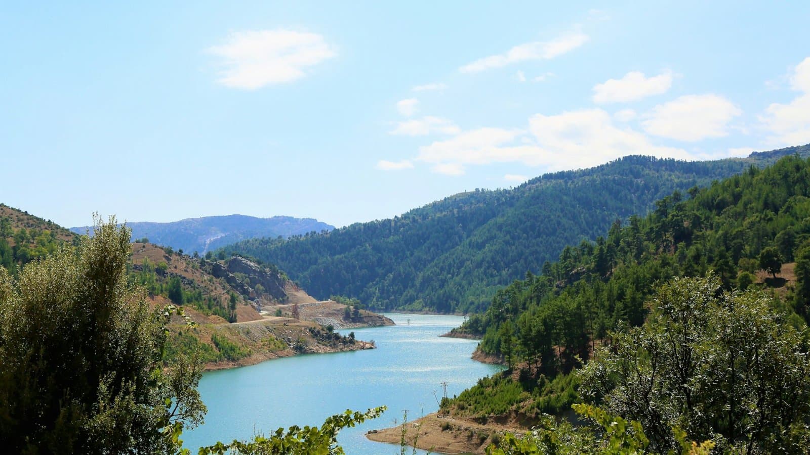 Аксуский профессионально-технический колледж, фото 1